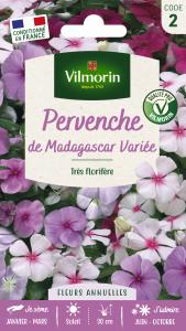 Pervenche de Madagascar en Mélange